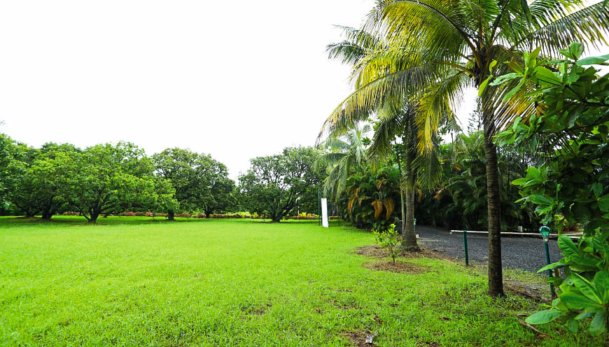 Vishwaghar, Narwekar Farms gallery